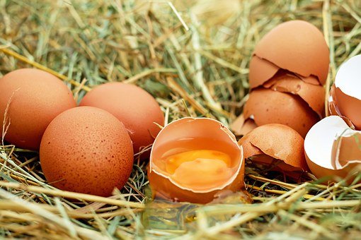 Липецкие птицеводы по итогам года планируют получить рекордное количество яиц ﻿