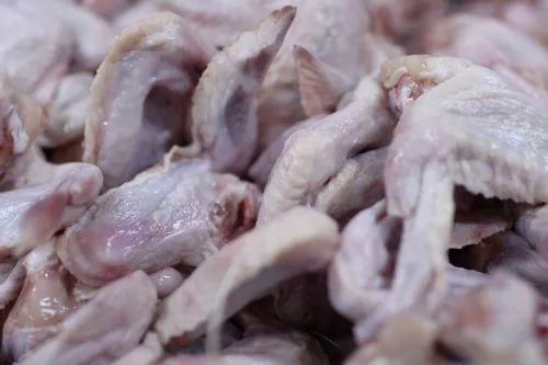Управлением Россельхознадзора в Липецке проконтролировано 120 тонн мяса птицы для Саудовской Аравии