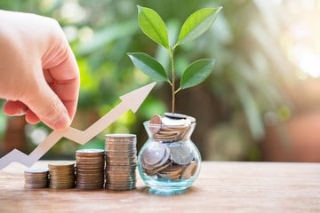 Около 70% от общего объема господдержки получили липецкие сельхозтоваропроизводители.