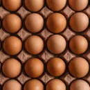 Производство яиц в Липецкой области демонстрирует уверенный рост