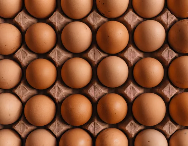 Производство яиц в Липецкой области демонстрирует уверенный рост