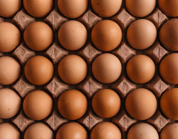 Управление сельского хозяйства Липецкой области заключило соглашение с главным производителем куриных яиц в регионе