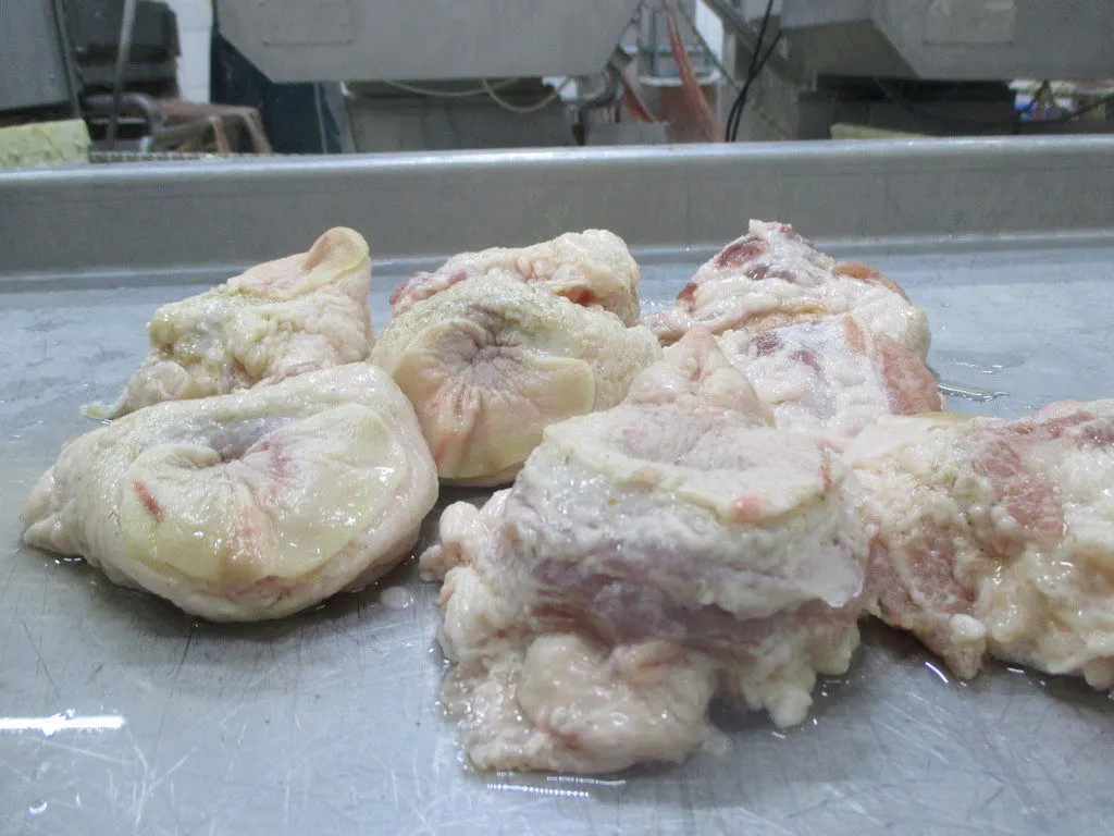 фотография продукта Жир кишечный свиной замороженный