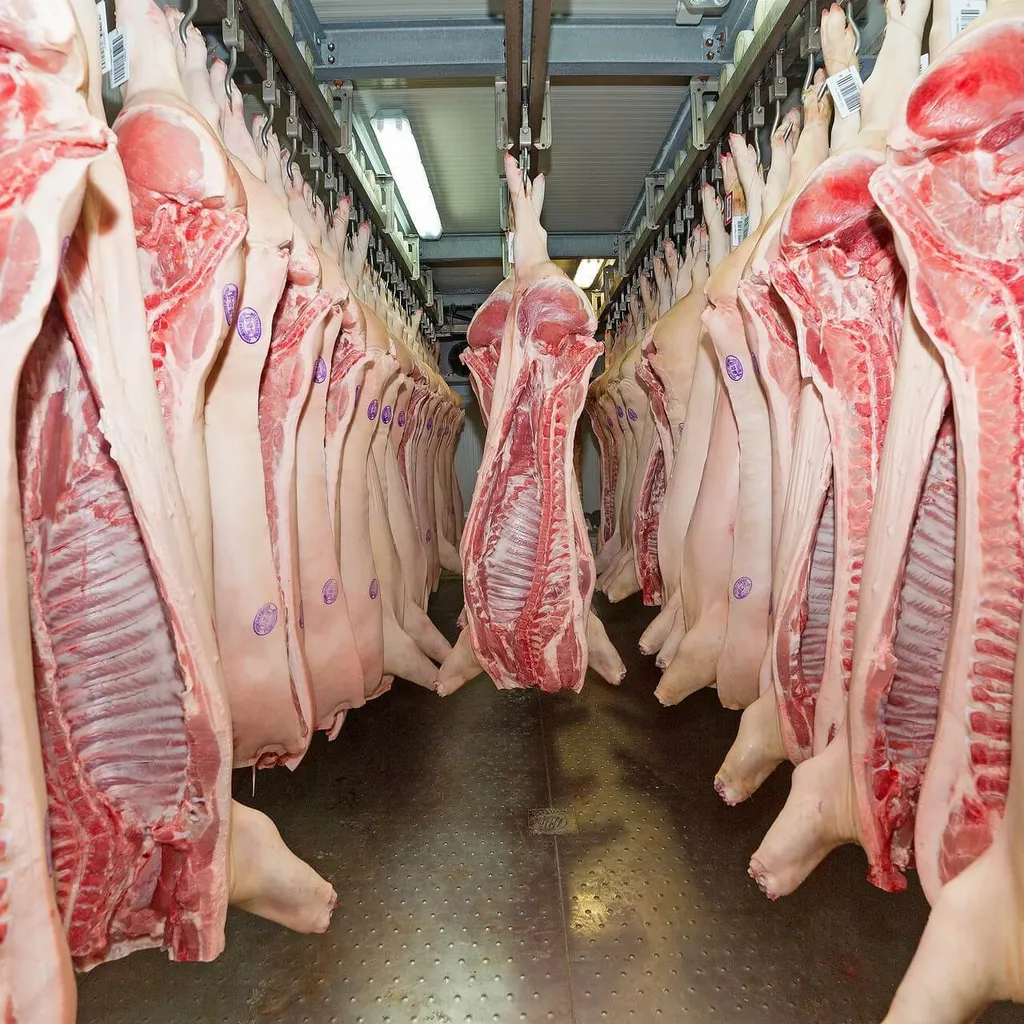 Бобровский мясокомбинат мясопродукты свинины