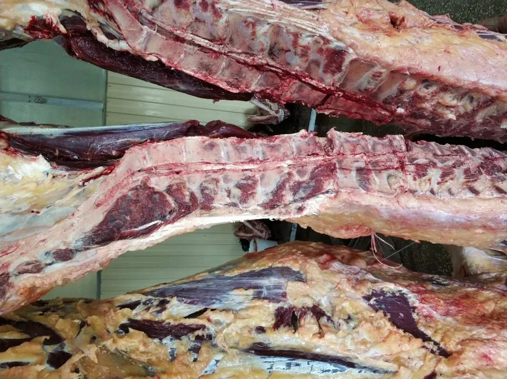 мясо коров в полутушах/четвертях охл/зам в Новосибирске 2