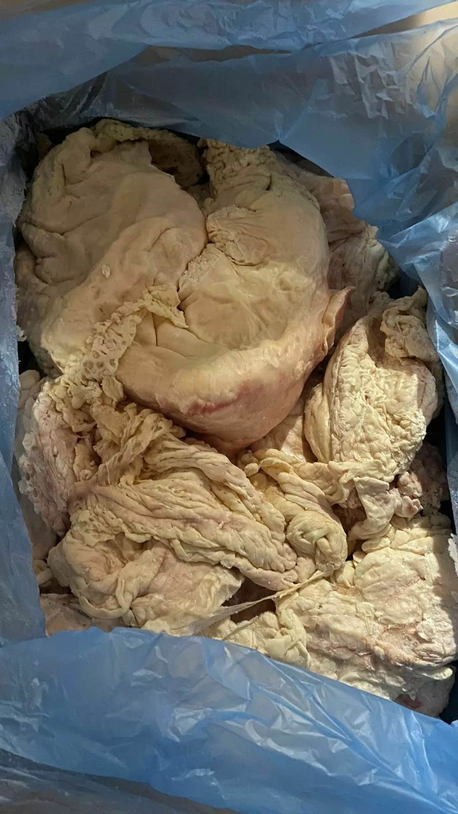 жир-сырец 2 группы говяжий замороженный  в Липецке и Липецкой области
